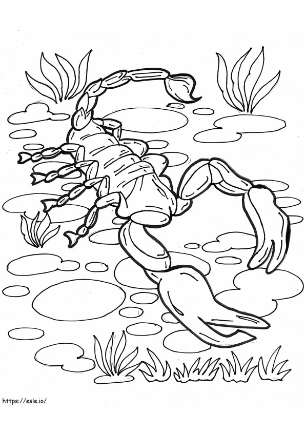 Coloriage Scorpion au sol à imprimer dessin