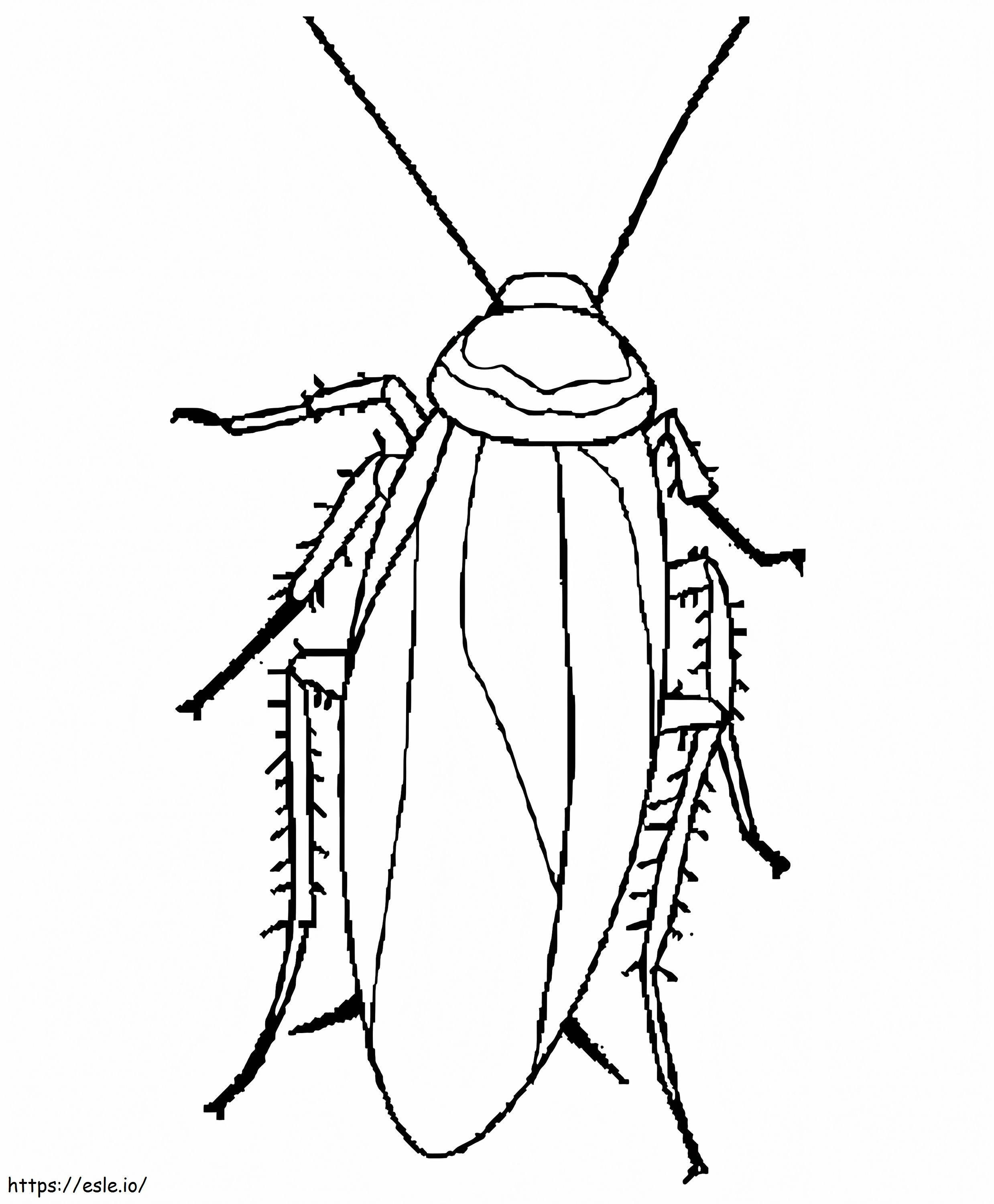 A Normal Cockroach coloring page