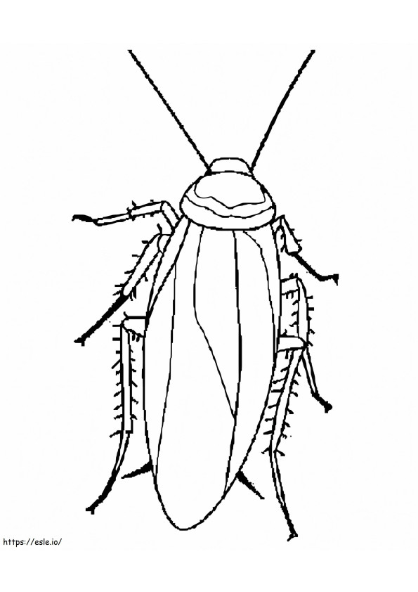 Uno scarafaggio normale da colorare