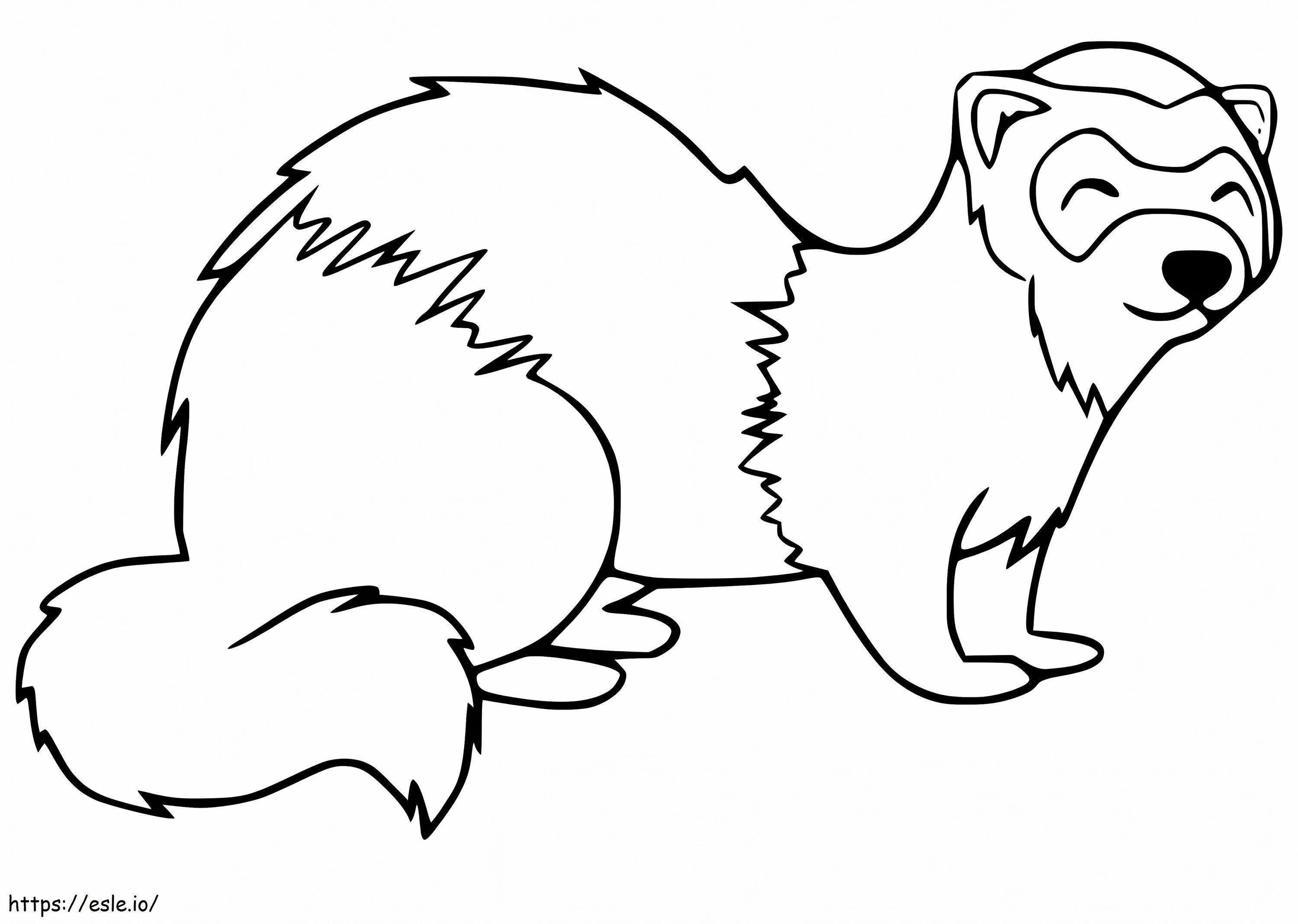 Ferret Smiling coloring page