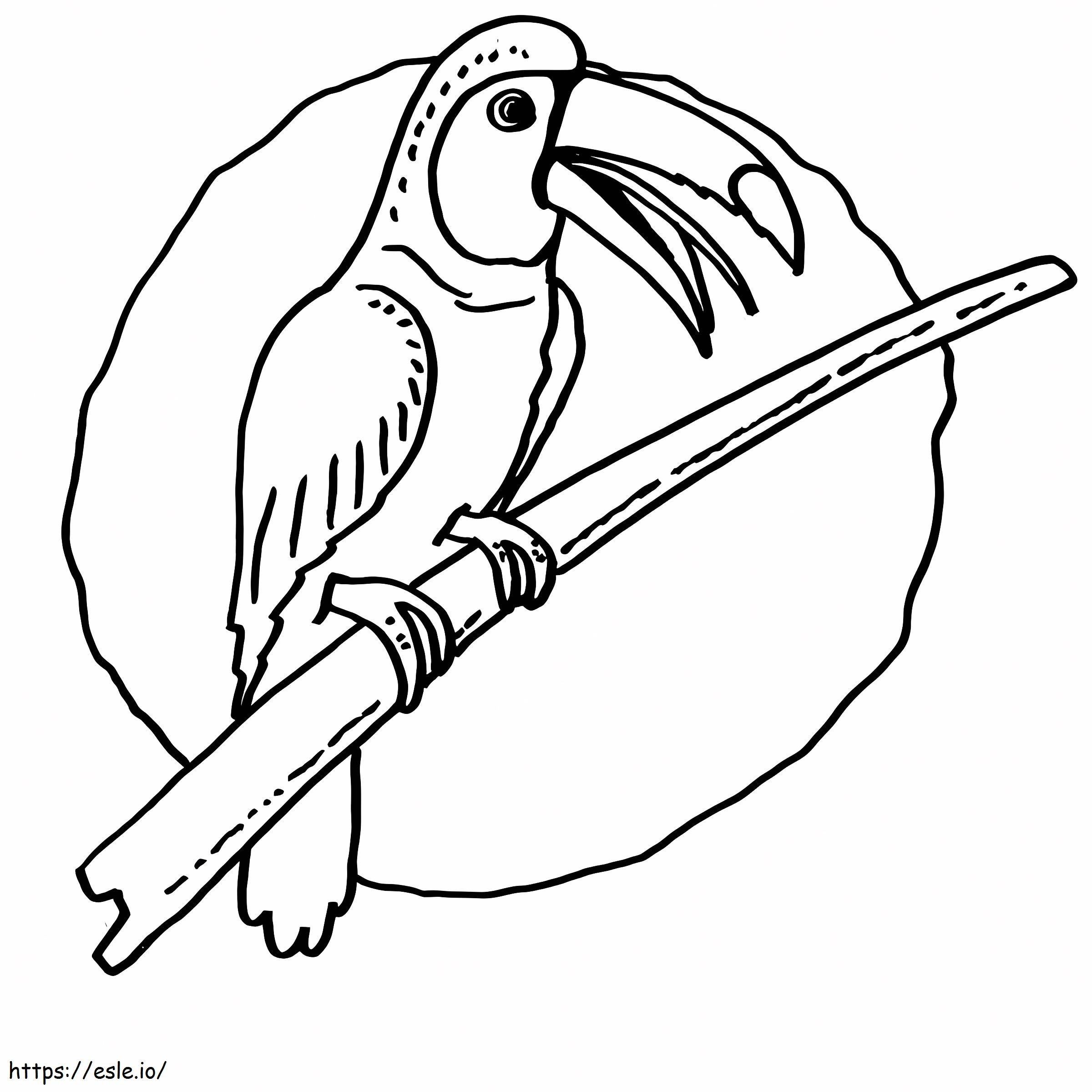 Coloriage Oiseau toucan 2 à imprimer dessin