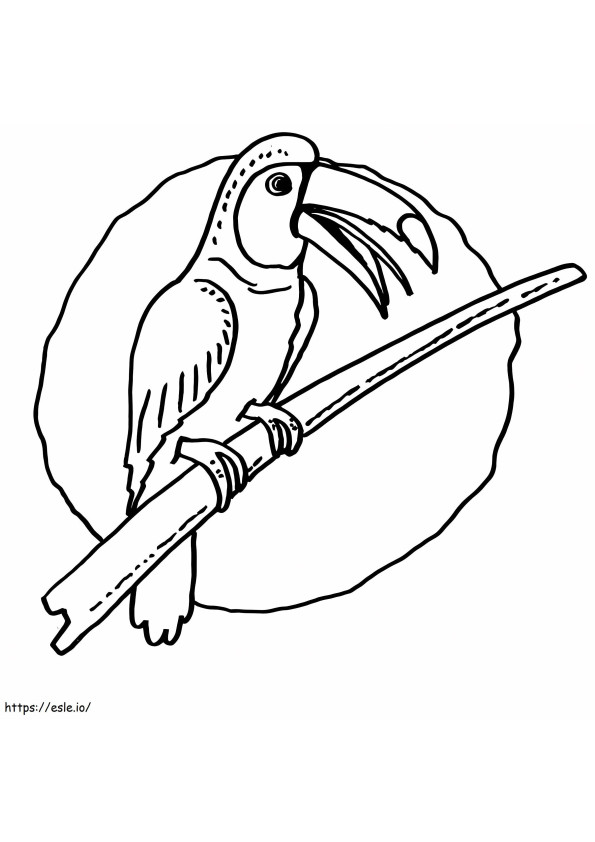 オオハシ鳥 2 ぬりえ - 塗り絵