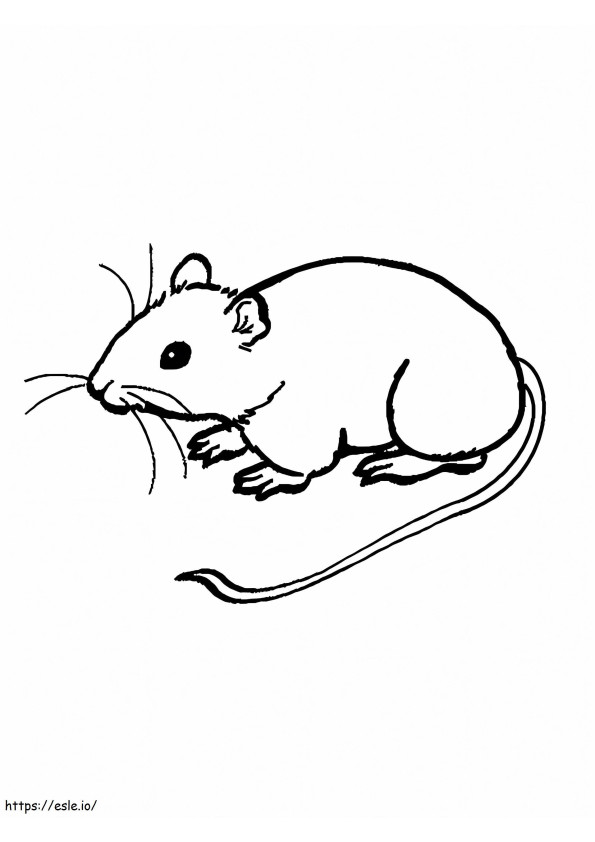 Basic Mouse coloring page