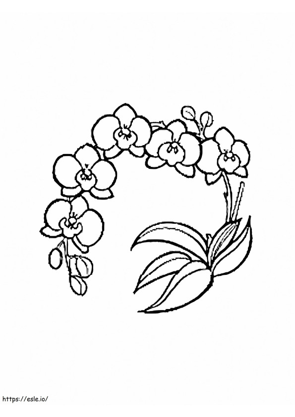 Free Printable Orchid Flower coloring page