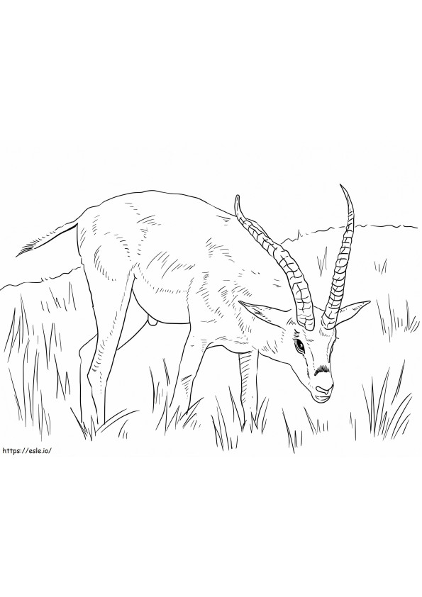 Coloriage Subventions Gazelle à imprimer dessin