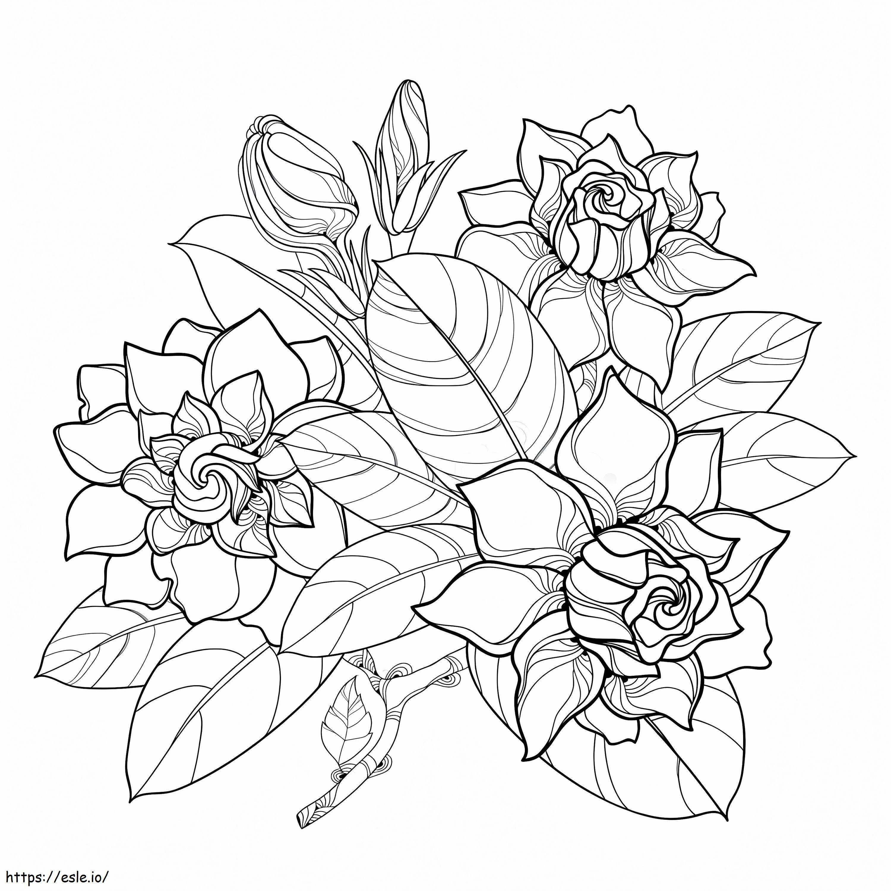 Gardenia con hoja y flor para colorear
