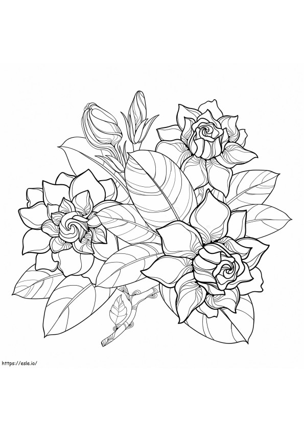 Gardenia Dengan Daun Dan Bunga Gambar Mewarnai