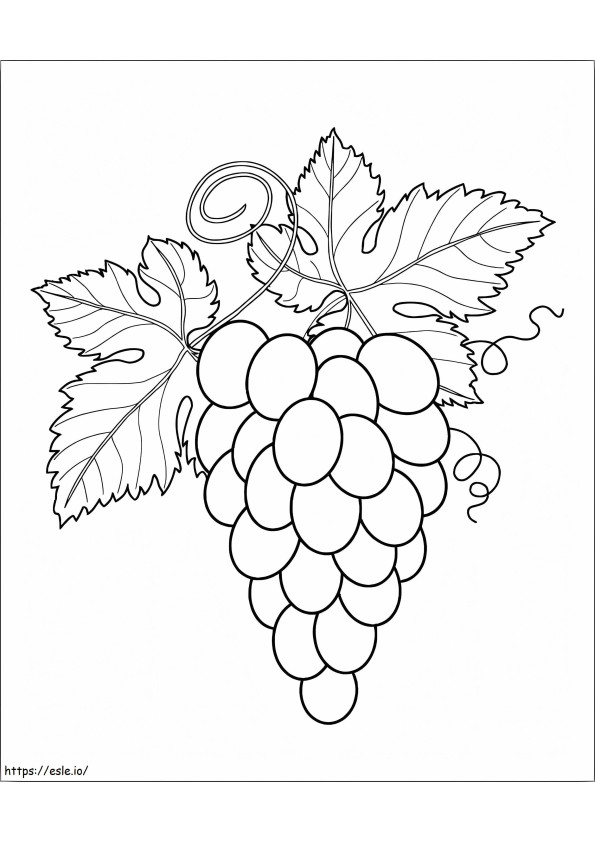 Grapes With Two Leaves coloring page