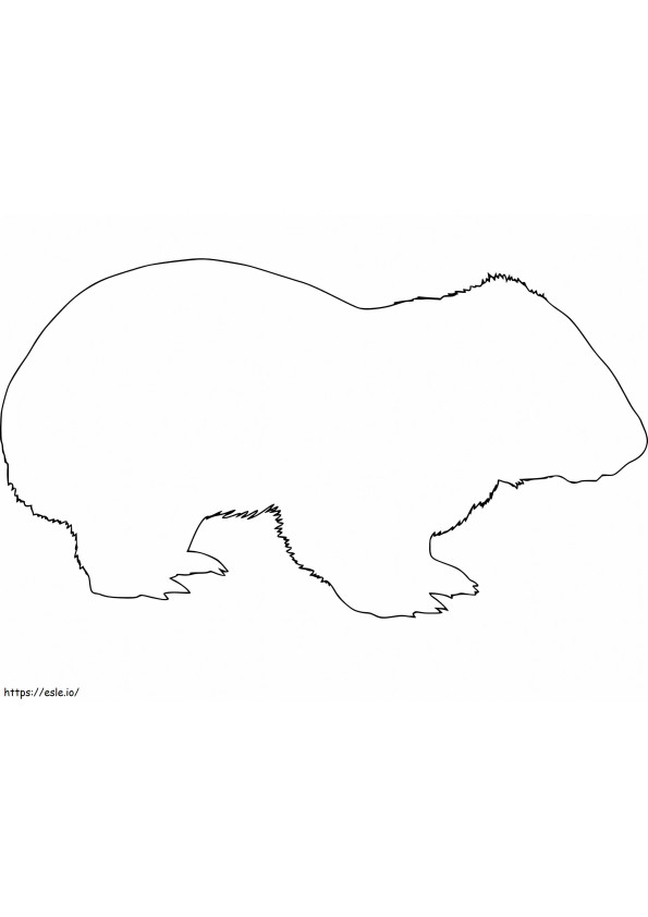Línea de wombat para colorear
