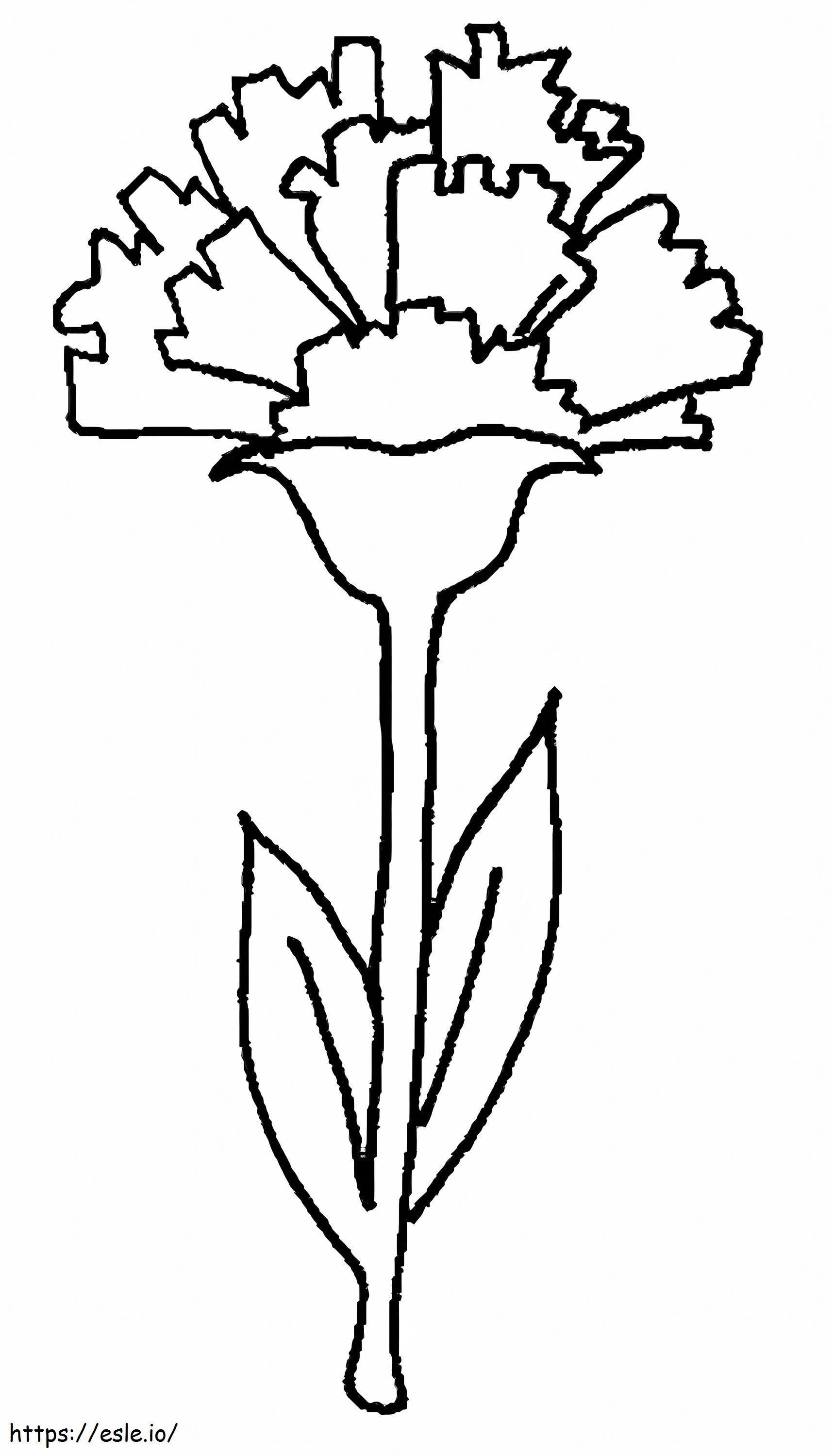 Hand Drawing Carnation coloring page