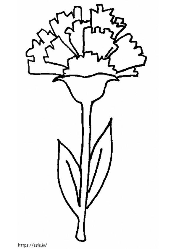 Hand Drawing Carnation coloring page
