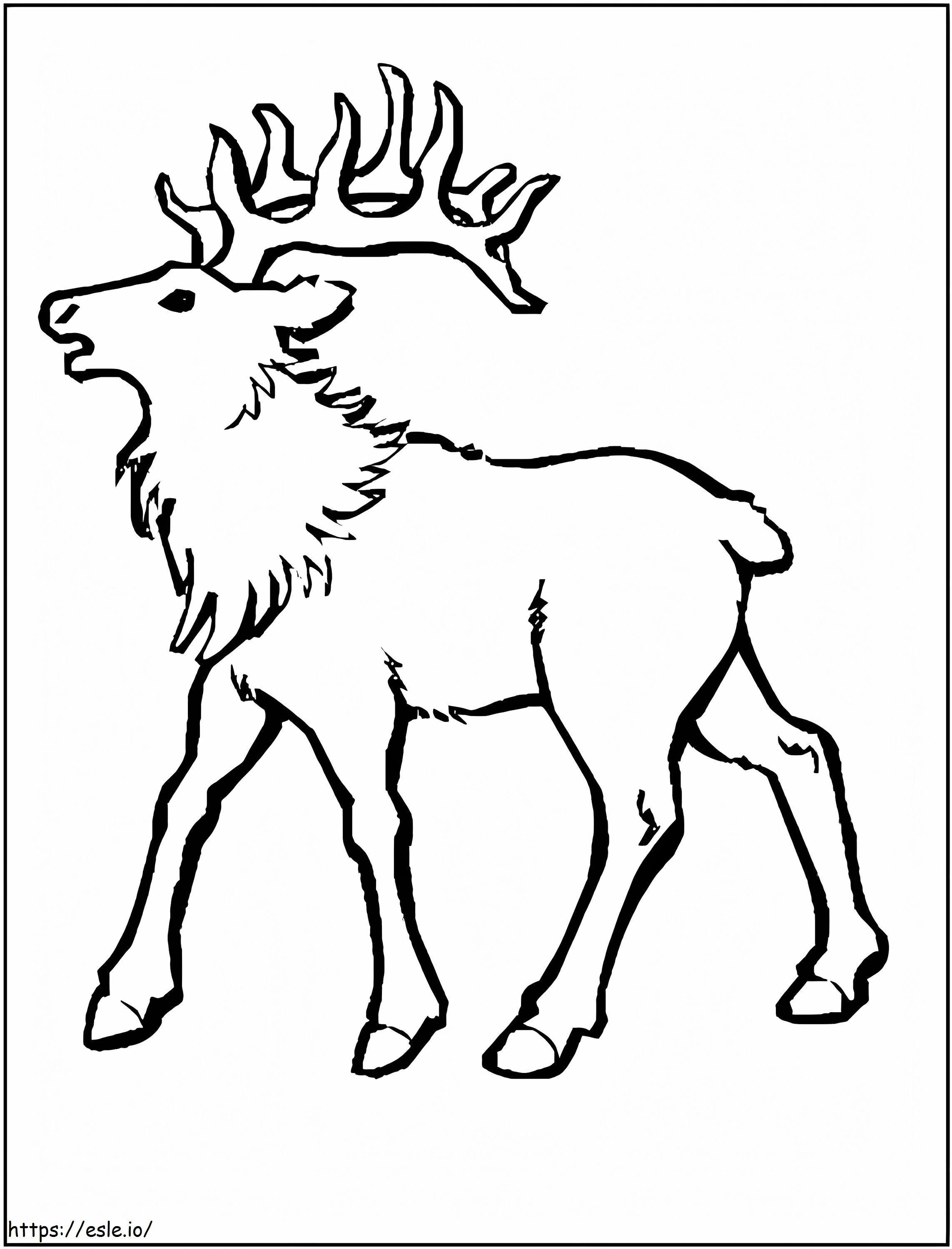 Basic Moose coloring page