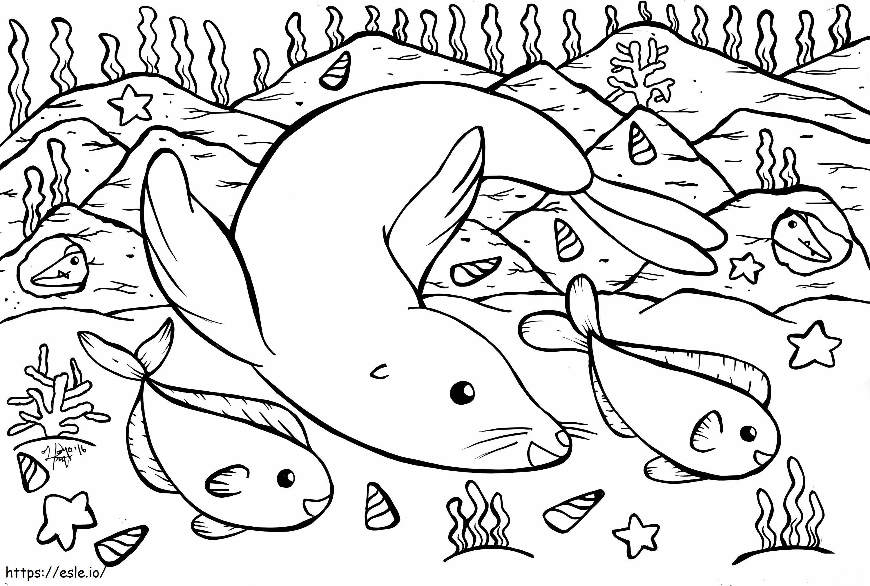 Seal And Fishes coloring page