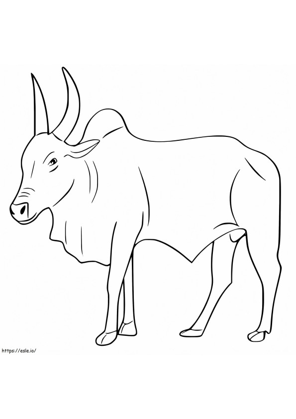 Bull 1 coloring page