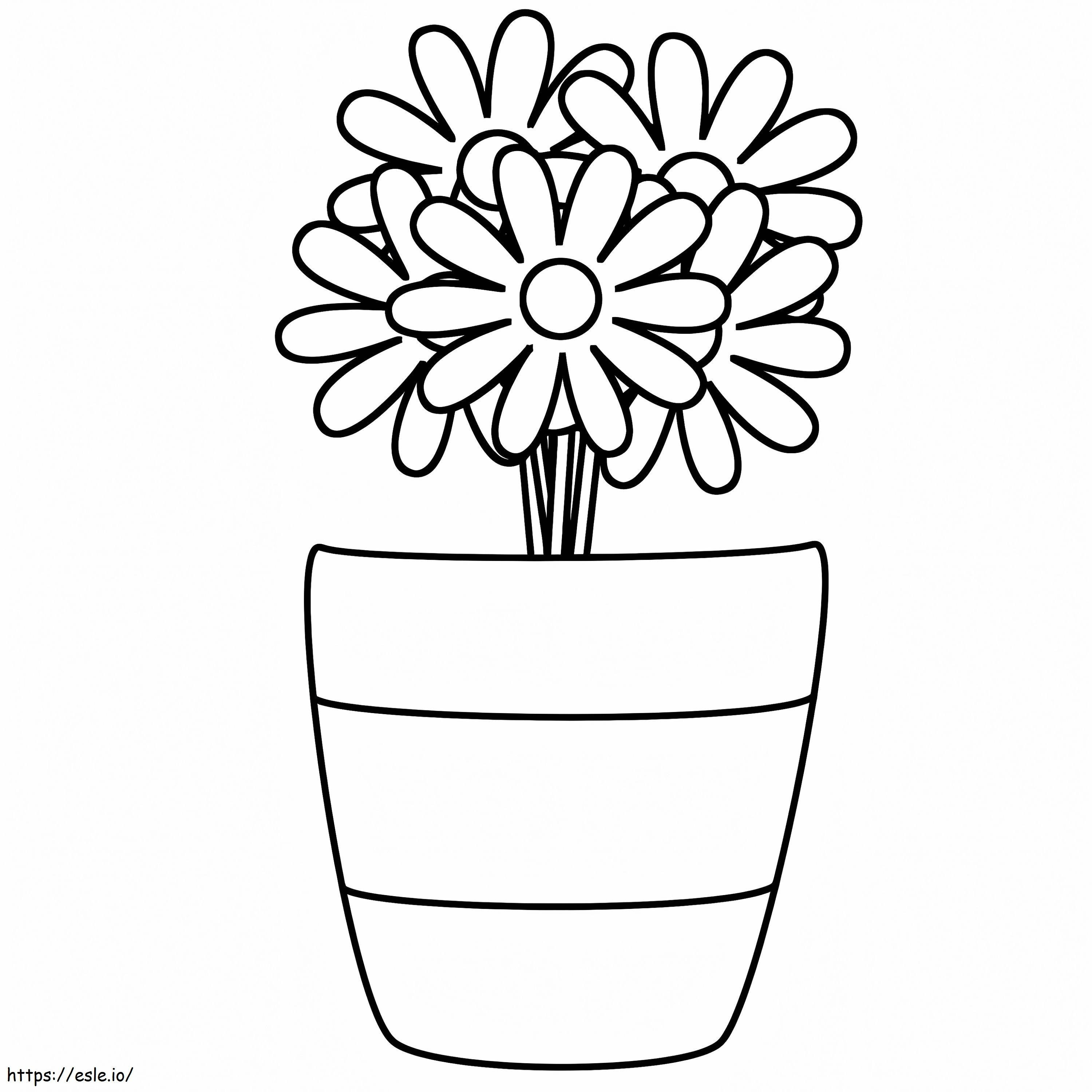 Daisy Flower Pot coloring page