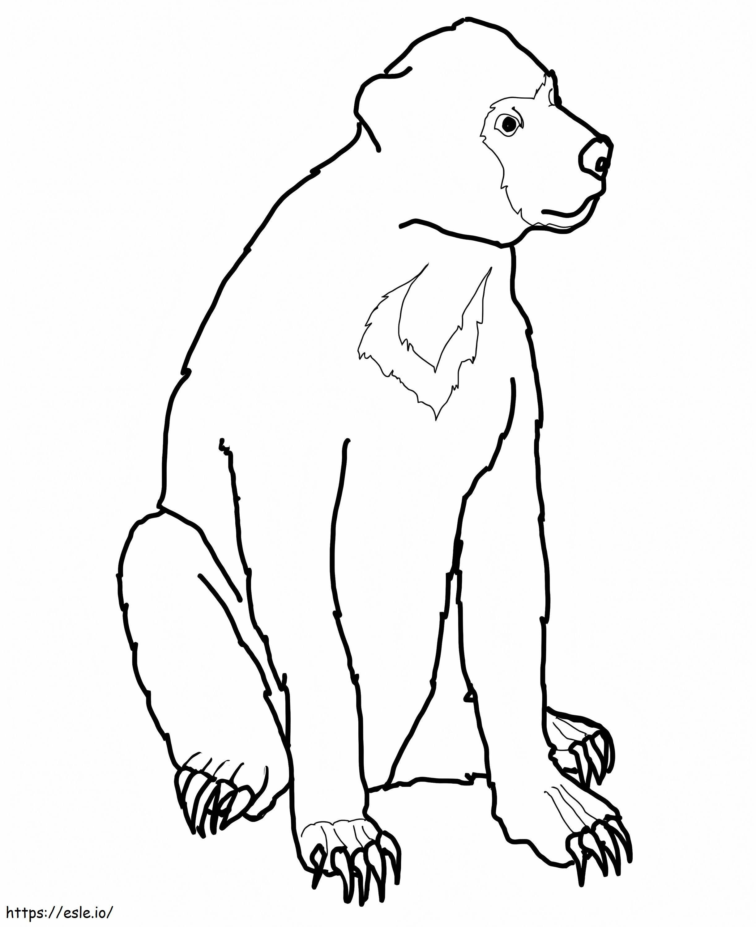 urso malaio para colorir