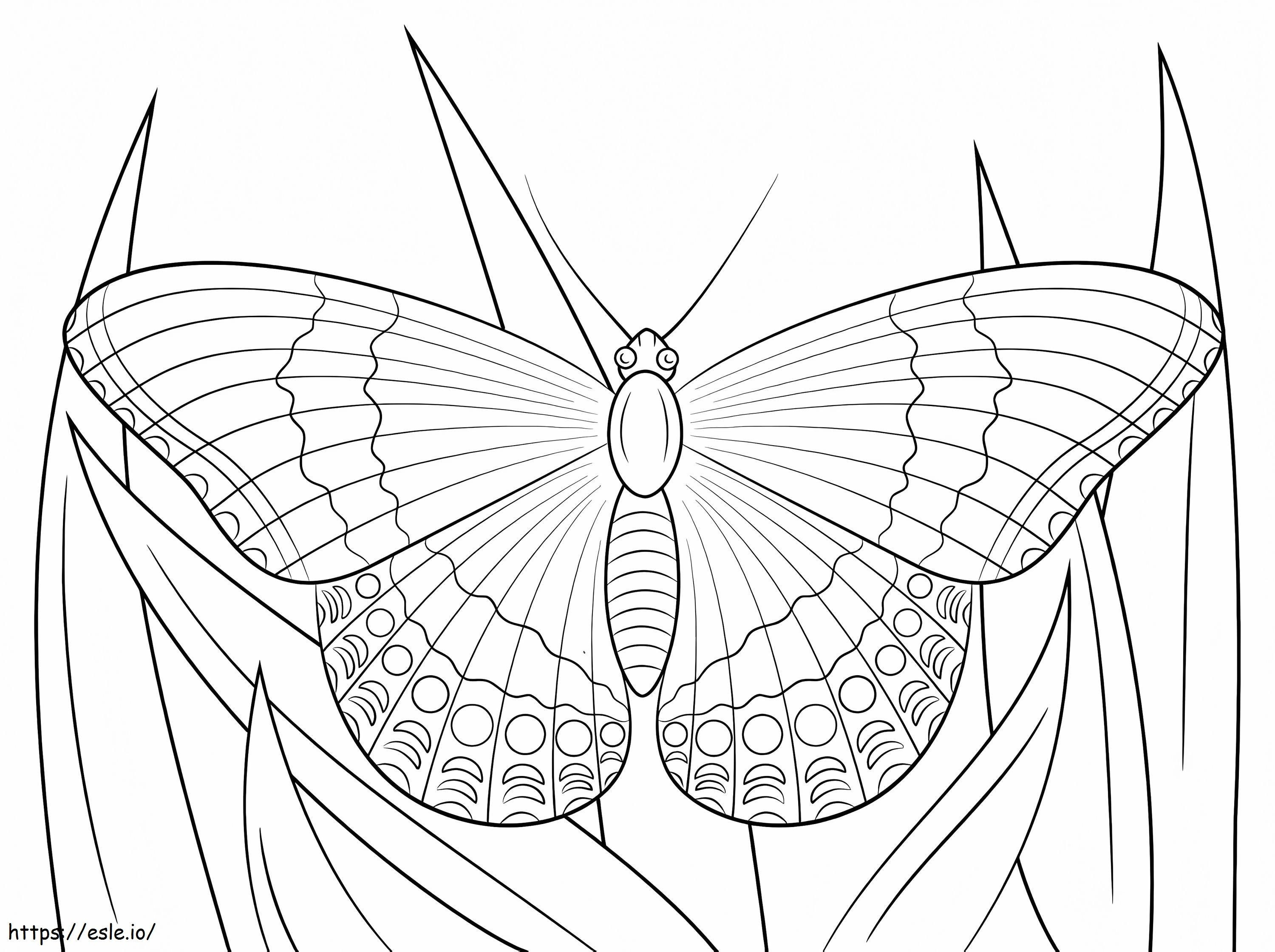 Fluture amiral alb de colorat