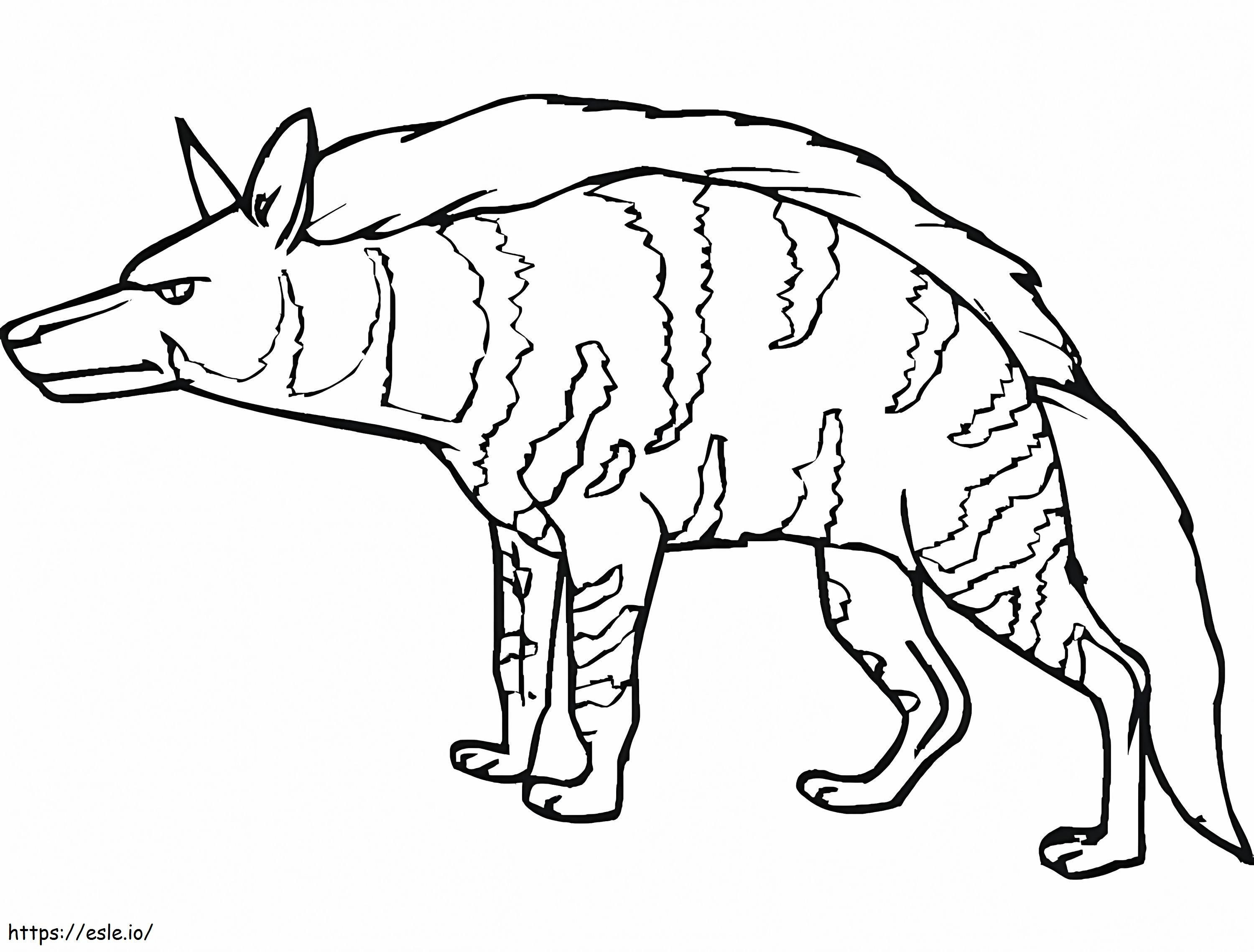 Hyena Belang 5 Gambar Mewarnai