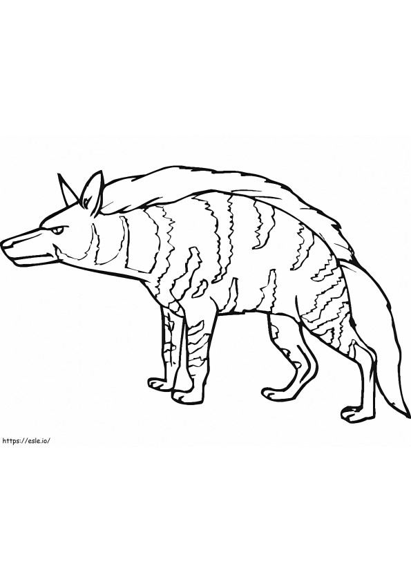 Raidallinen hyena 5 värityskuva