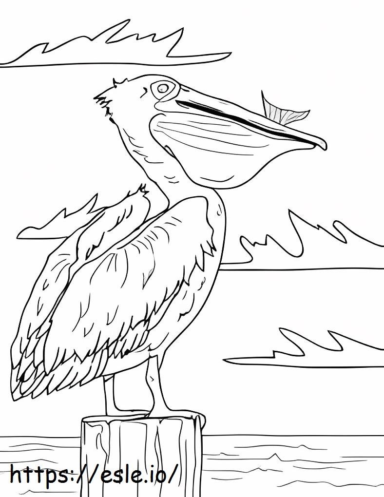 Drawing Pelican Eating Fish coloring page