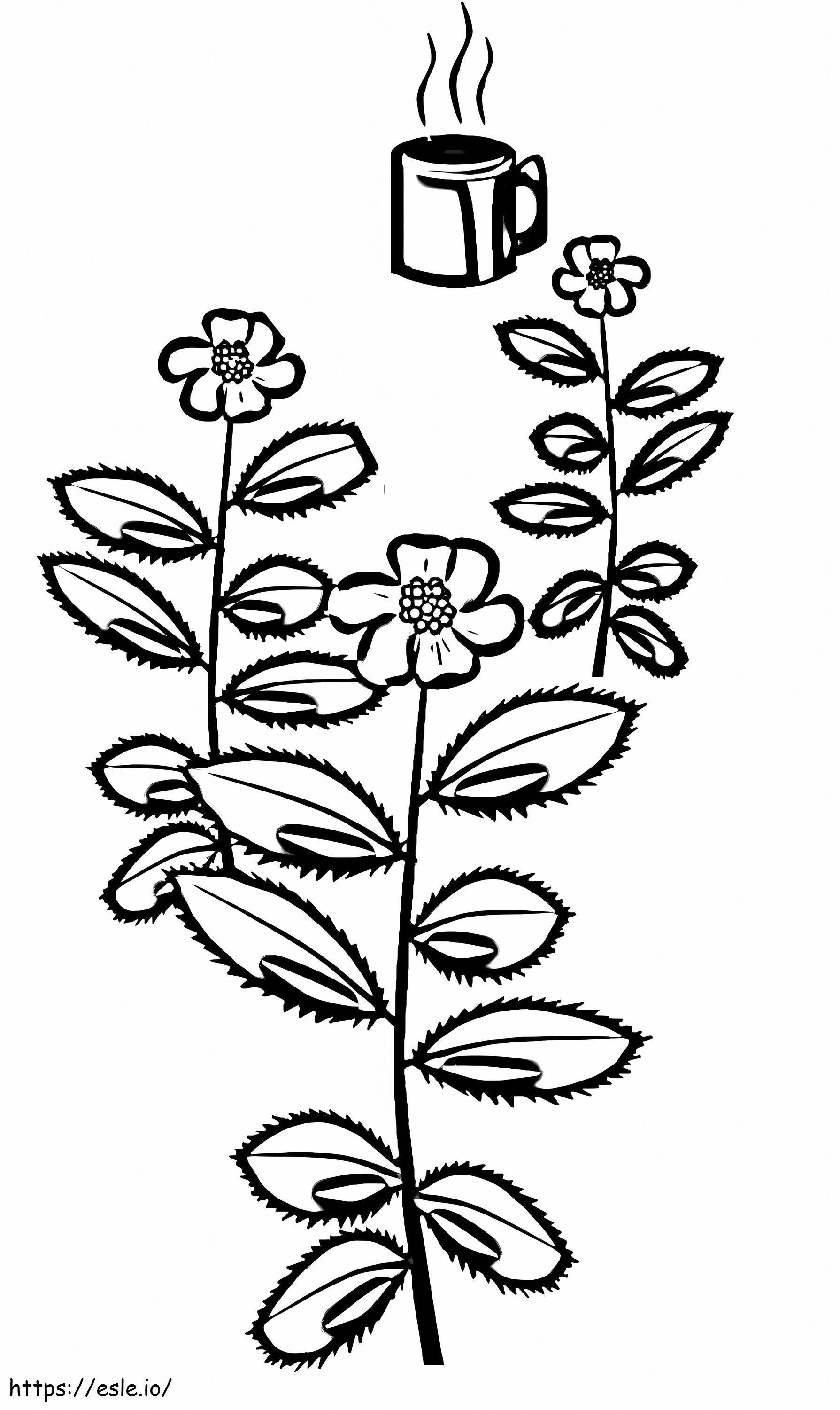 Tea In India coloring page
