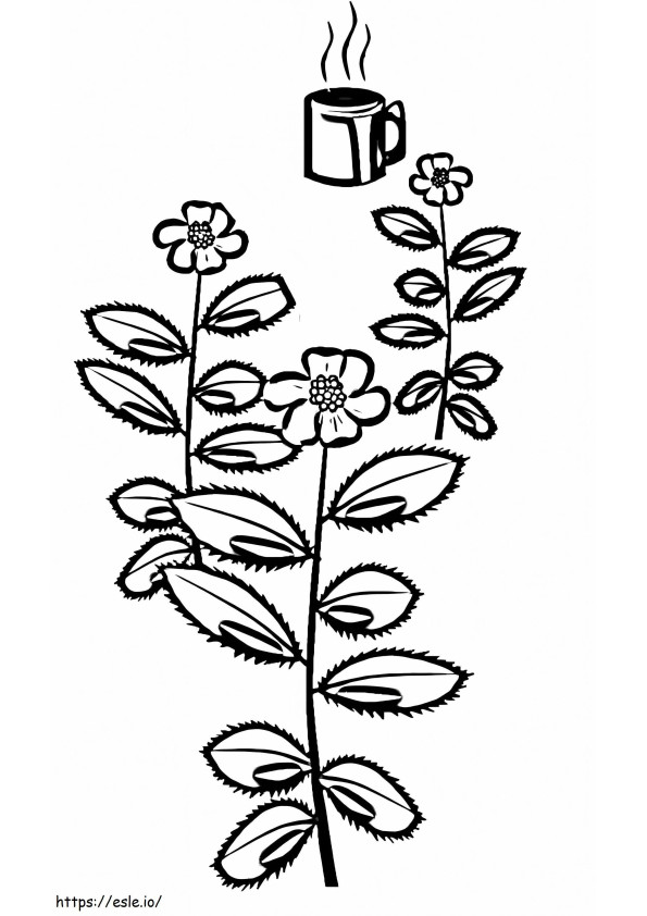 Tea In India coloring page
