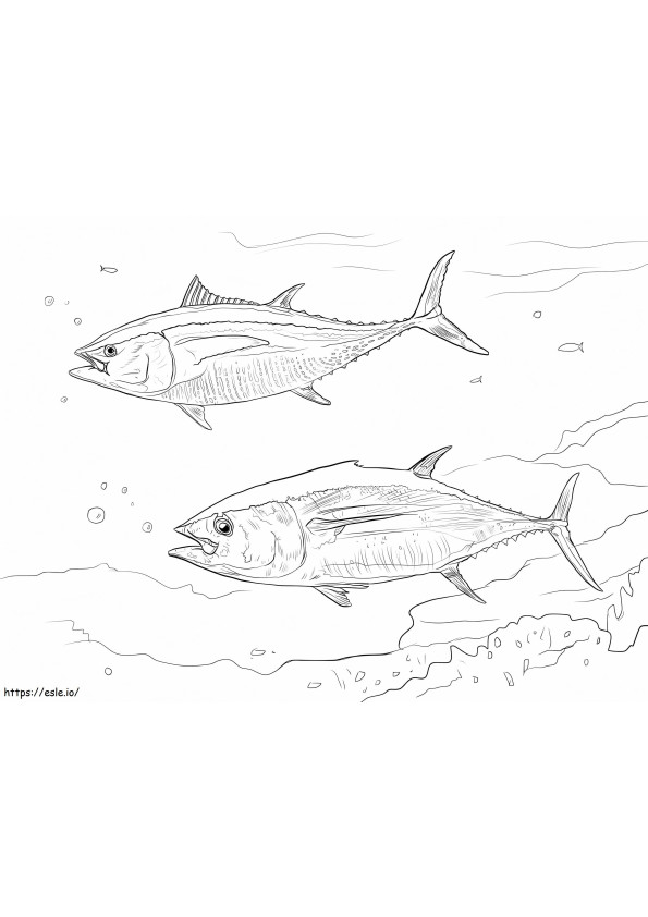 Sárgaúszójú tonhal kifestő