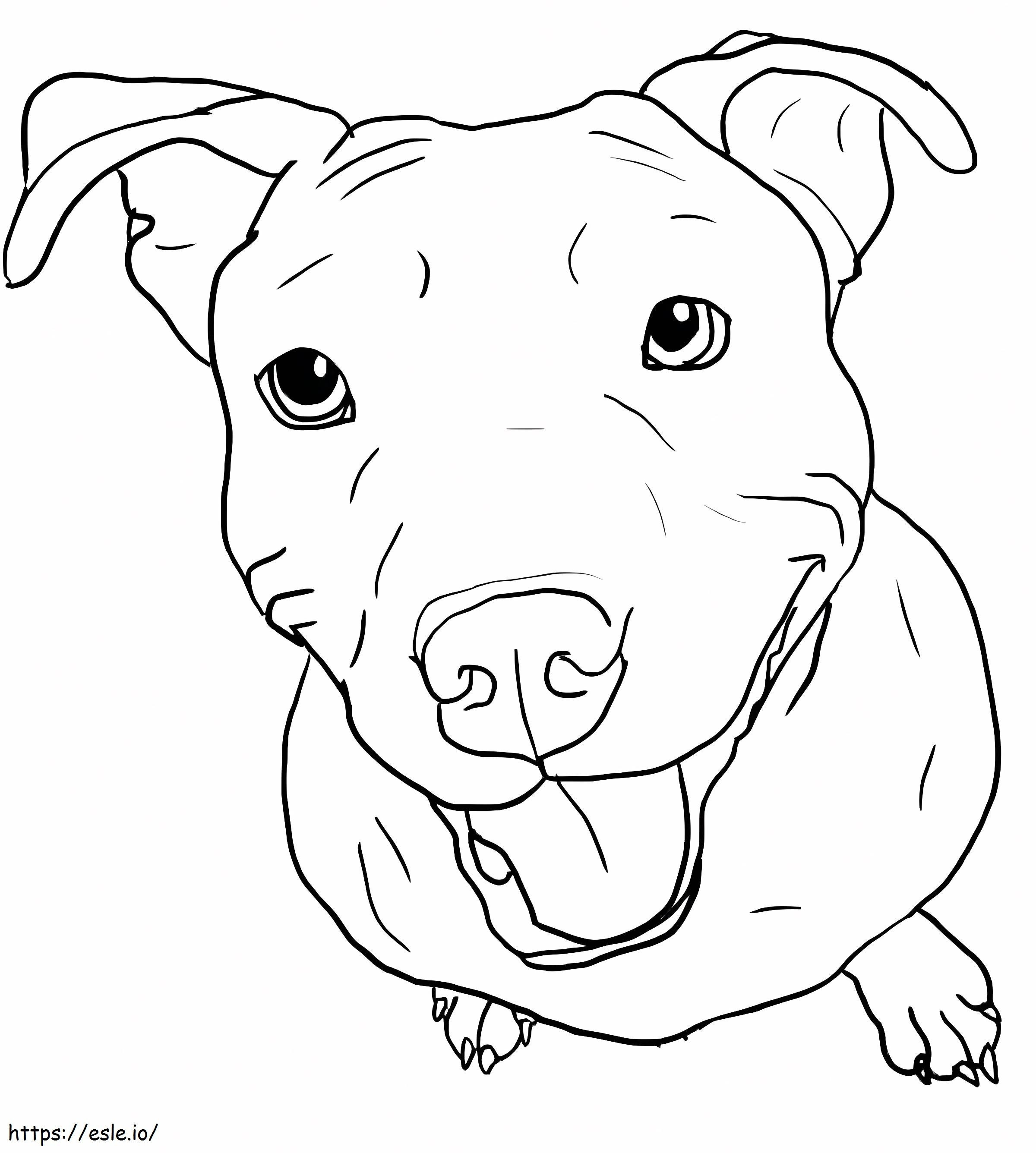 Happy Pitbull Dog coloring page