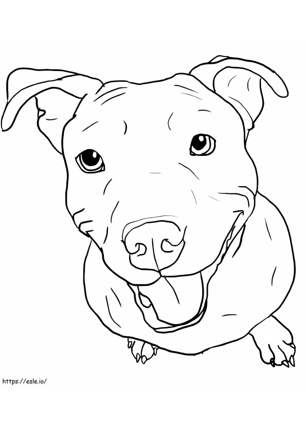 Onnellinen Pitbull-koira värityskuva