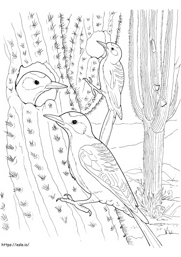 サボテンと鳥 ぬりえ - 塗り絵