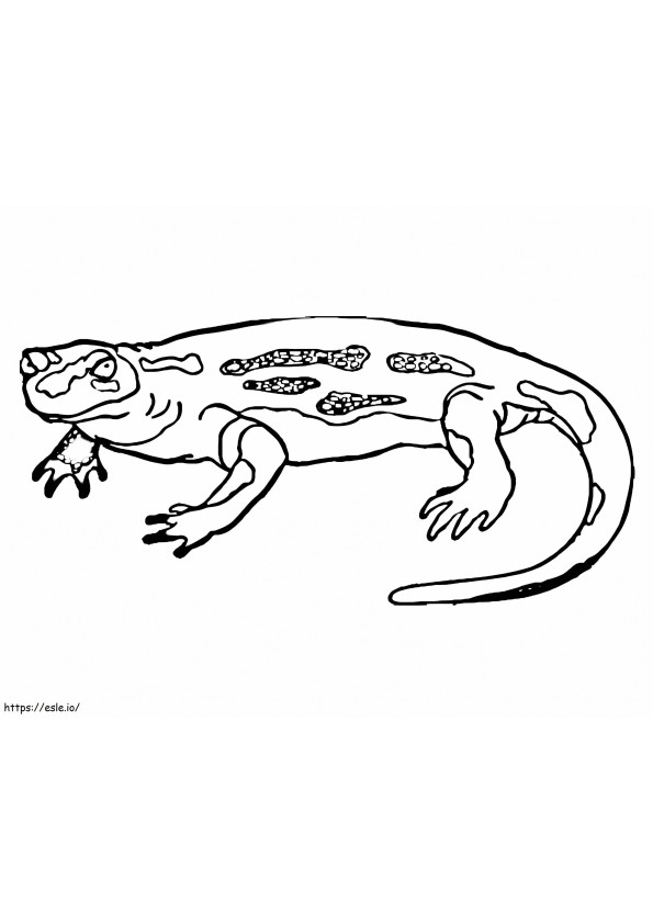 Normal Newt coloring page