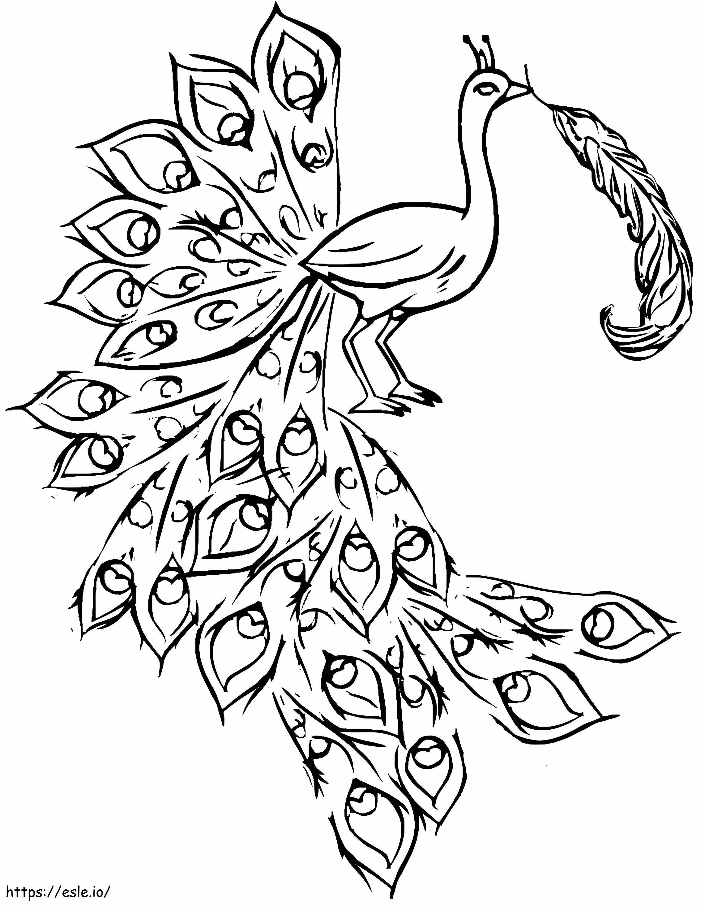 Peacock With Feather coloring page