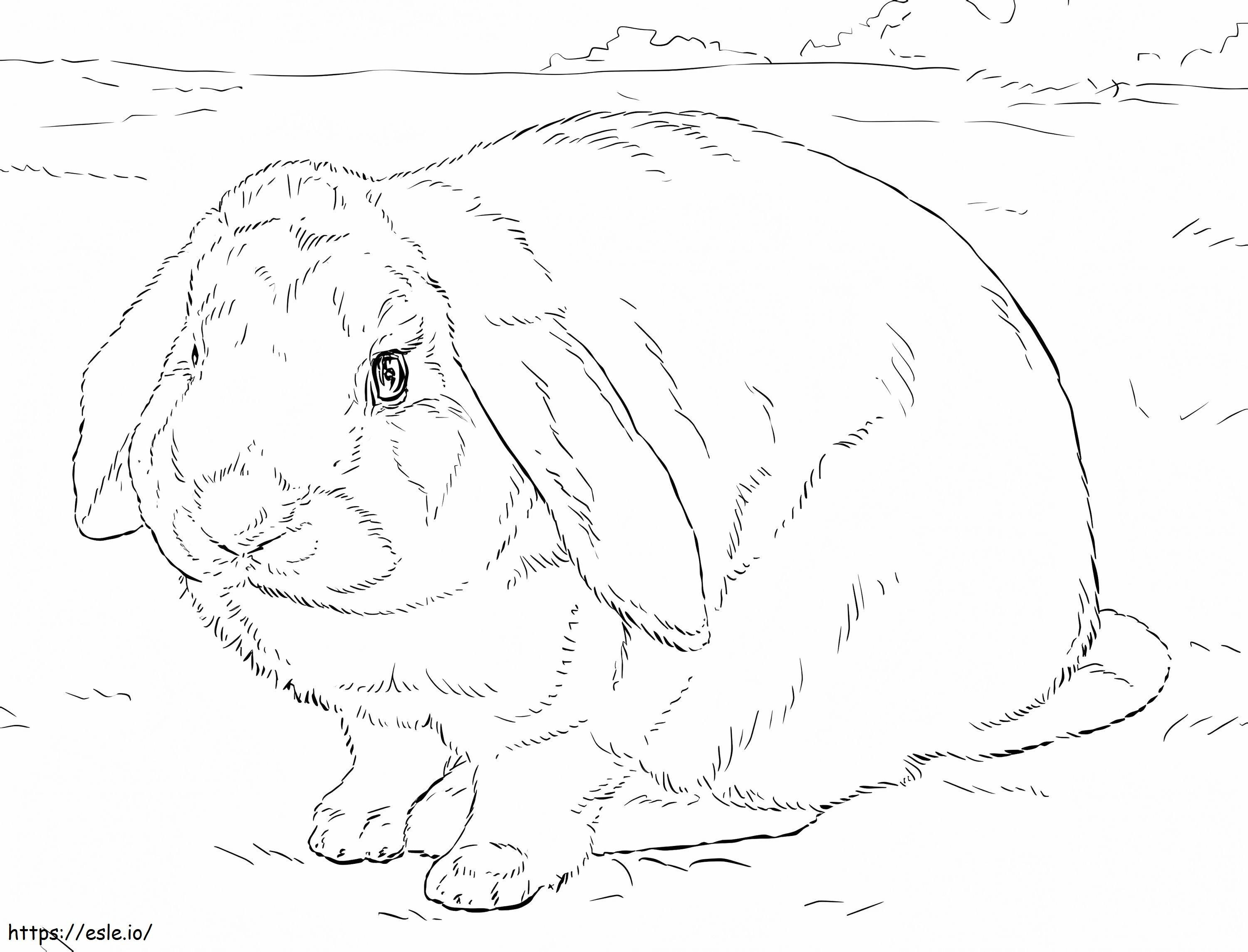 Coloriage Le lapin a peur à imprimer dessin