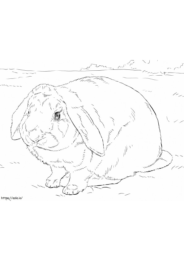 ウサギが怖い ぬりえ - 塗り絵