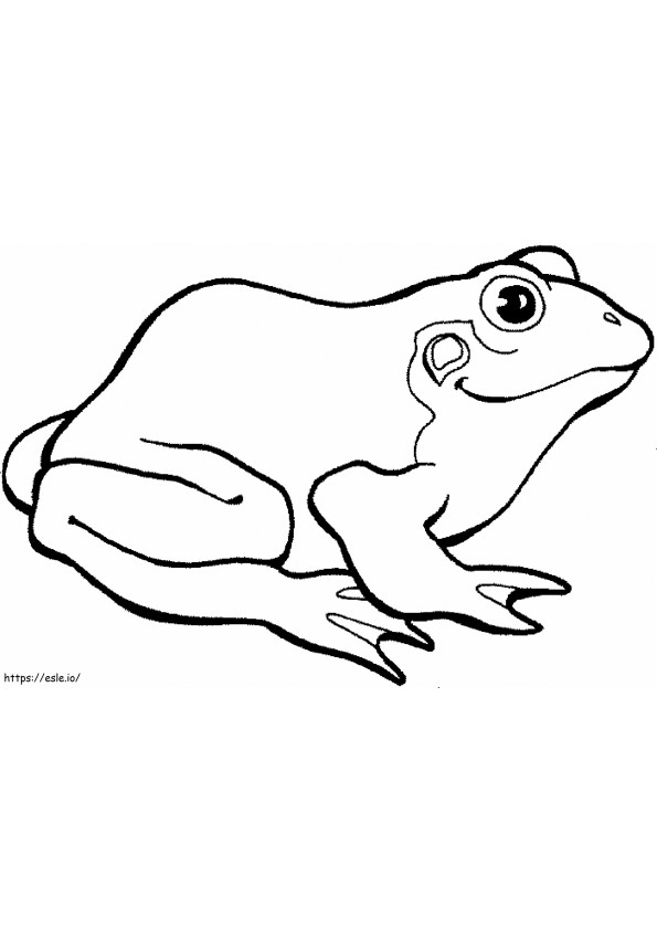 Basic Drawing Frog coloring page