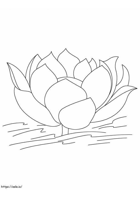 Coloriage Bonite Lotus à imprimer dessin