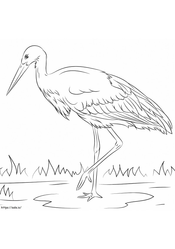 White Stork coloring page