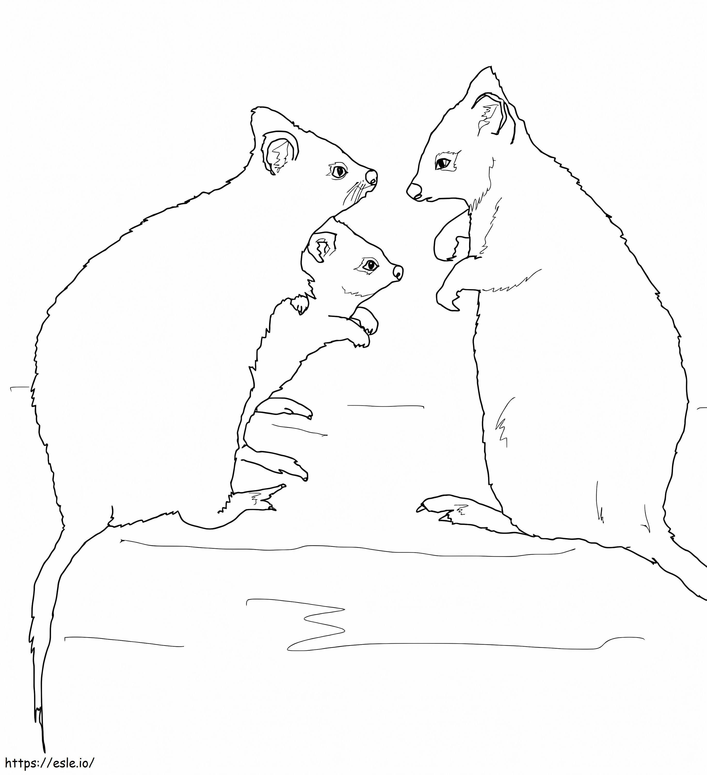 Quokka Family coloring page