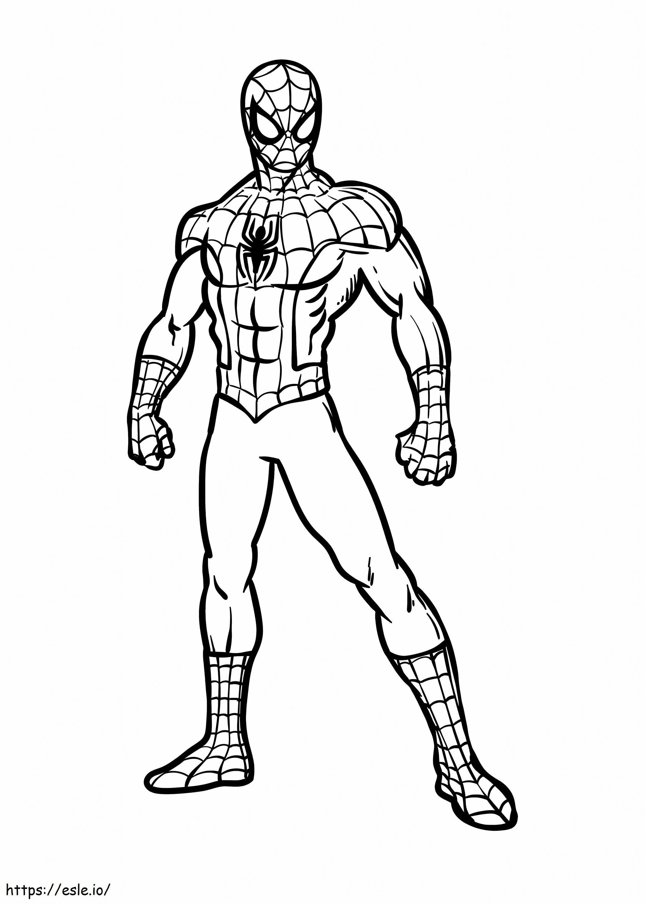 Basic Spider Man coloring page