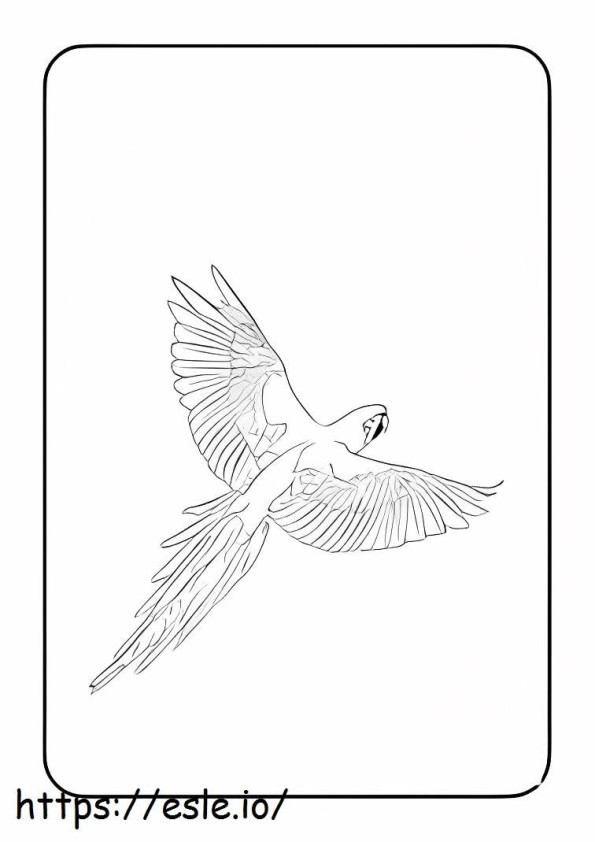 Scarlet Macaw Parrot coloring page
