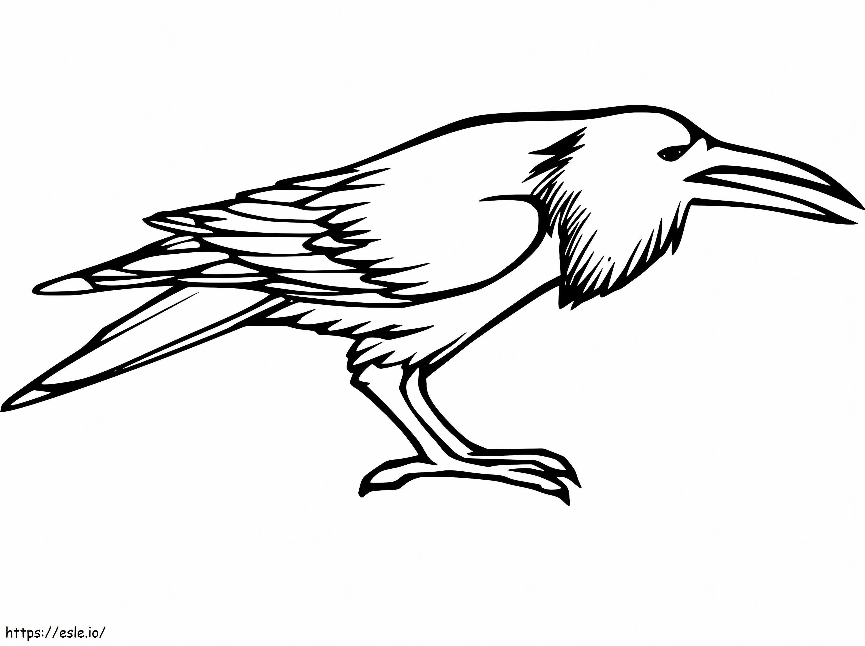 Raven yang dapat dicetak Gambar Mewarnai
