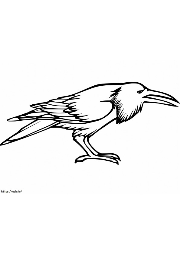 Coloriage Corbeau imprimable à imprimer dessin