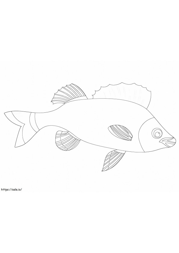 Coloriage Piranha à ventre rouge à imprimer dessin