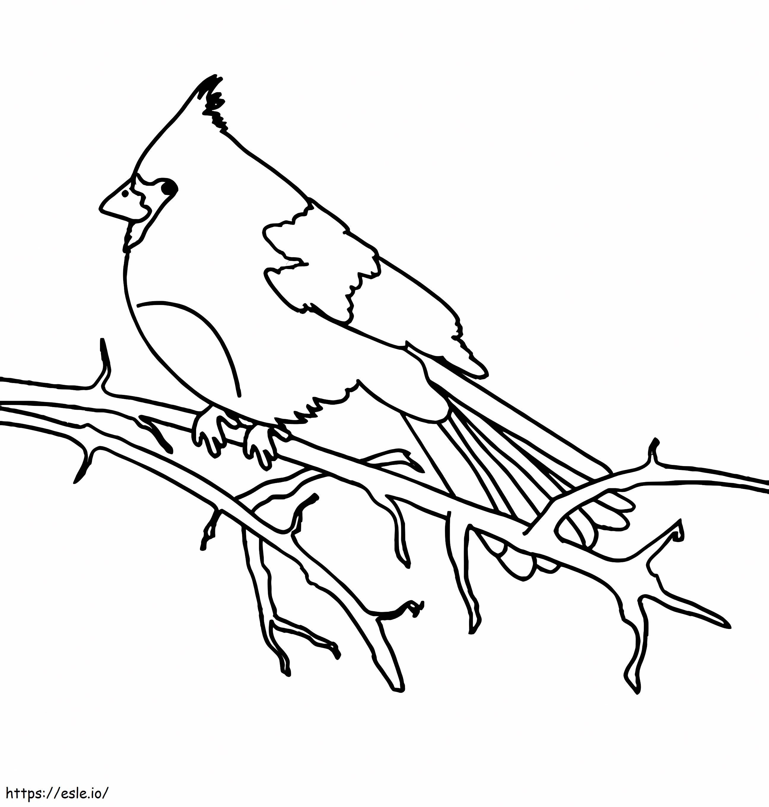 Coloriage Cardinal Doux à imprimer PDF gratuit