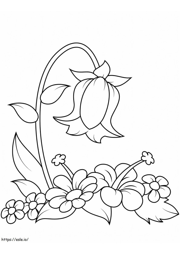 Campanula-bloemen 6 kleurplaat