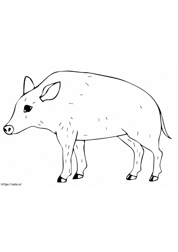 Little Boar coloring page