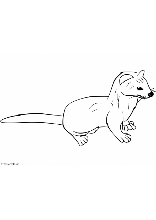Weasel 16 coloring page