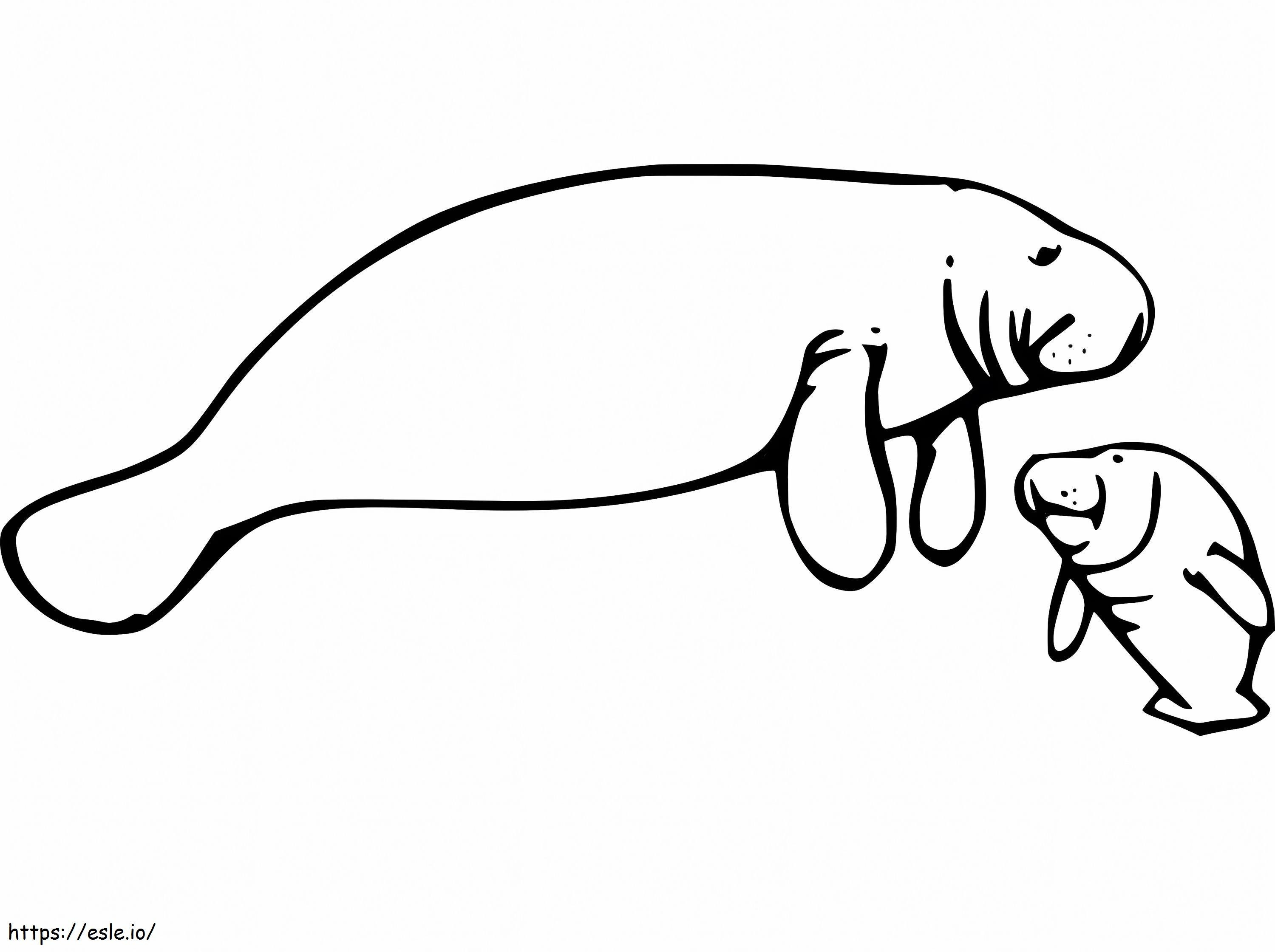 Manatee And Baby coloring page