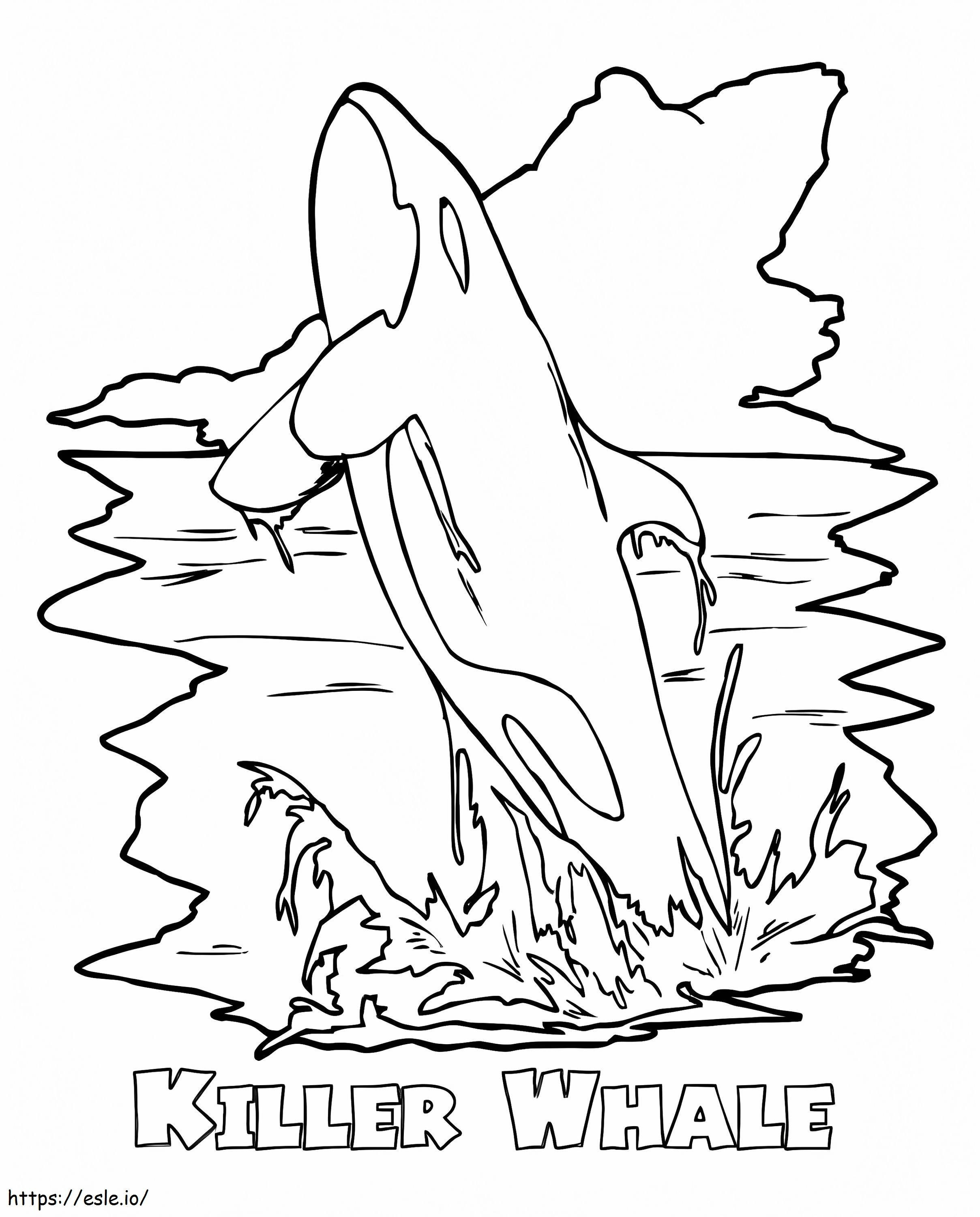 Awesome Killer Whale coloring page