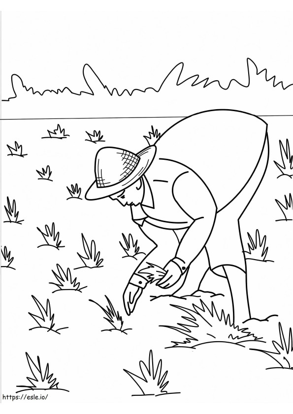 Farmer Working 1 coloring page